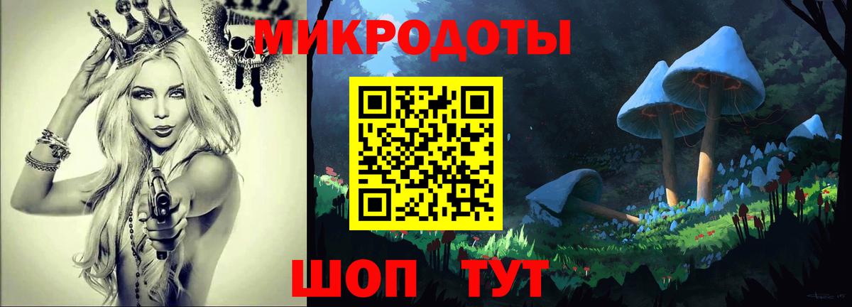 как найти   Галлюциногенные грибы Psilocybine cubensis  Боровичи  Вход с VPN  Псилоцибиновые грибы Psilocybe 