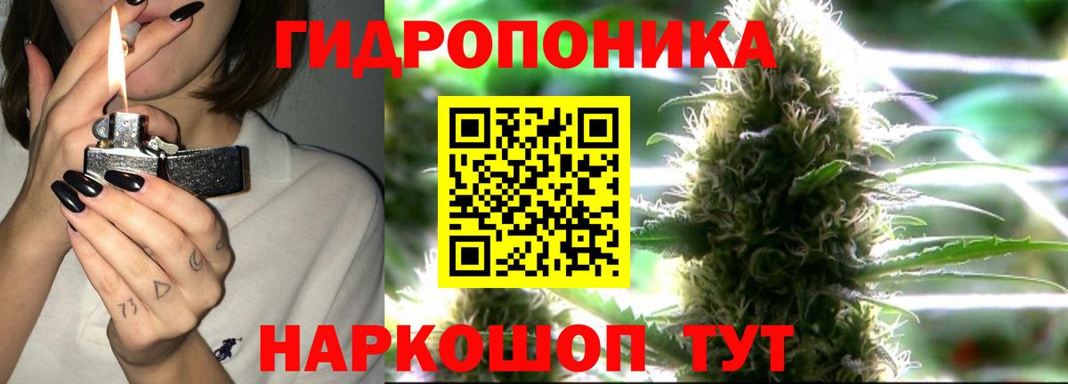 Шишки марихуана Bruce Banner Боровичи